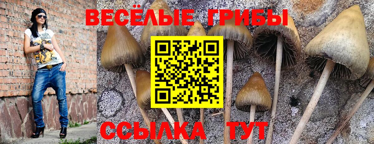 Галлюциногенные грибы мицелий Черкесск