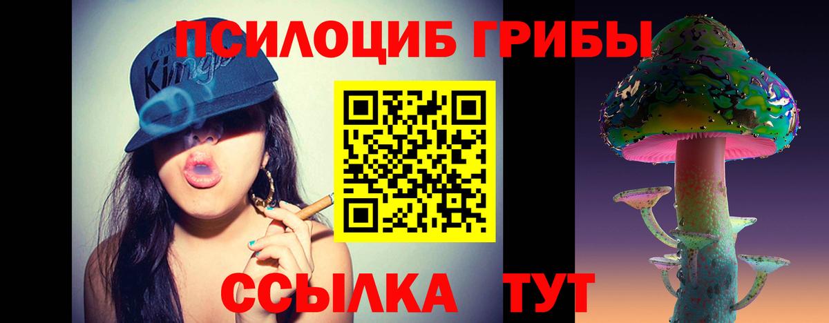 Псилоцибиновые грибы мицелий  Вход с VPN  Черкесск 
